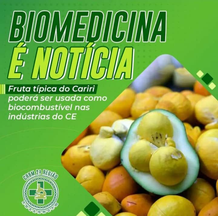 Biomedicina é Notícia. Fruta típica do Cariri poderá ser usada como biocombustível nas indústrias do Ceará